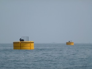 Large modular mooring buoy for PT PJB