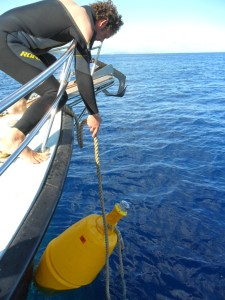  Capoliveri buoy with light signal