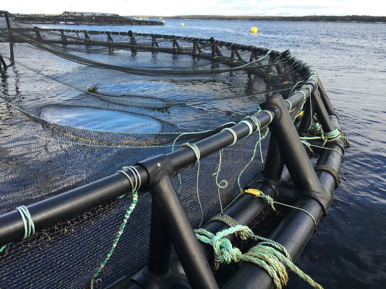 Resinex and aquaculture: a return to the past