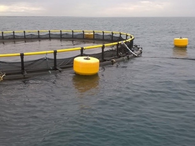 Aquaculture